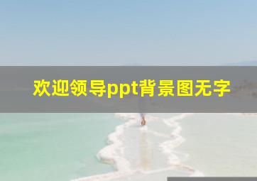 欢迎领导ppt背景图无字