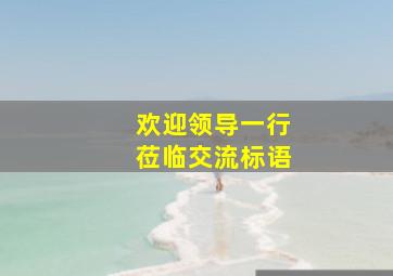 欢迎领导一行莅临交流标语