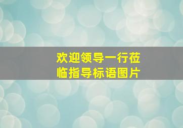 欢迎领导一行莅临指导标语图片