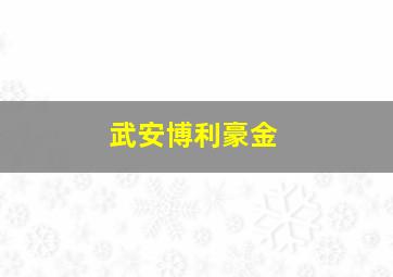 武安博利豪金