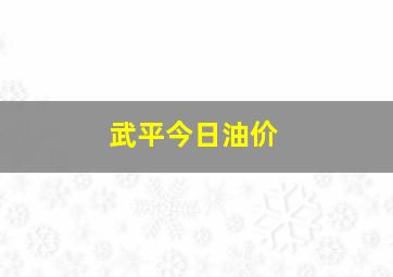 武平今日油价