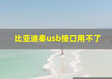 比亚迪秦usb接口用不了