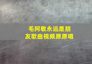 毛阿敏永远是朋友歌曲视频原原唱