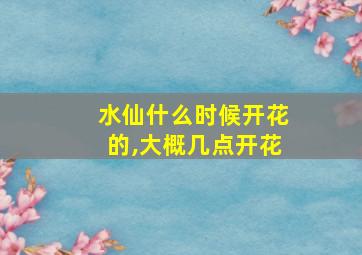 水仙什么时候开花的,大概几点开花