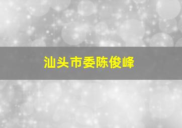 汕头市委陈俊峰