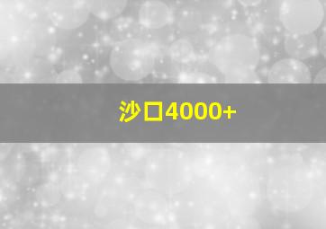 沙口4000+