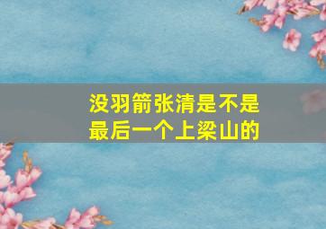 没羽箭张清是不是最后一个上梁山的