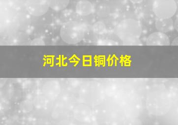 河北今日铜价格