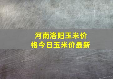 河南洛阳玉米价格今日玉米价最新