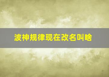 波神规律现在改名叫啥