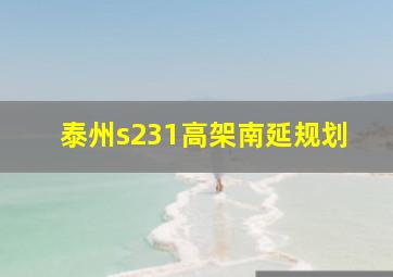 泰州s231高架南延规划