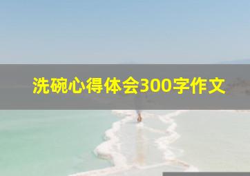 洗碗心得体会300字作文