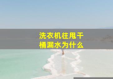 洗衣机往甩干桶漏水为什么