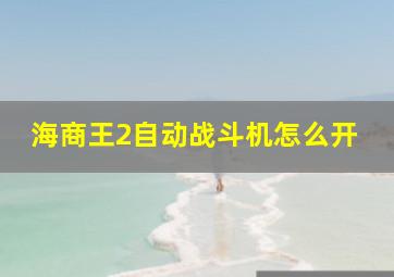 海商王2自动战斗机怎么开