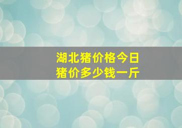 湖北猪价格今日猪价多少钱一斤