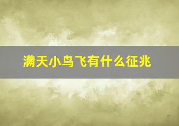 满天小鸟飞有什么征兆