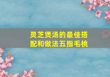 灵芝煲汤的最佳搭配和做法五指毛桃