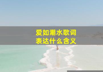 爱如潮水歌词表达什么含义