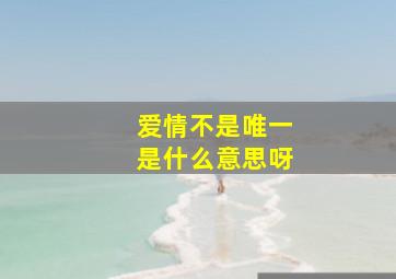 爱情不是唯一是什么意思呀