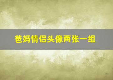 爸妈情侣头像两张一组