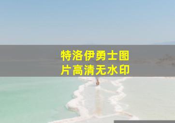 特洛伊勇士图片高清无水印