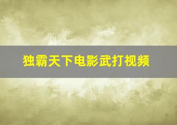 独霸天下电影武打视频