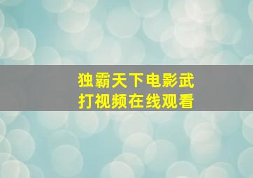 独霸天下电影武打视频在线观看