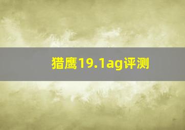 猎鹰19.1ag评测