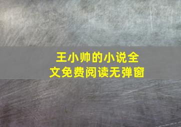 王小帅的小说全文免费阅读无弹窗