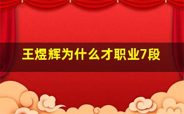 王煜辉为什么才职业7段