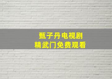 甄子丹电视剧精武门免费观看