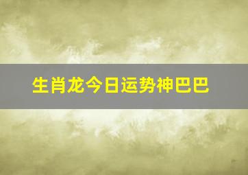 生肖龙今日运势神巴巴