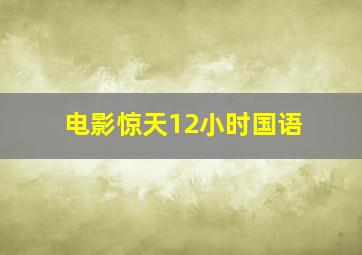 电影惊天12小时国语