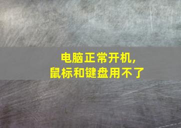 电脑正常开机,鼠标和键盘用不了