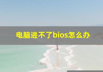 电脑进不了bios怎么办