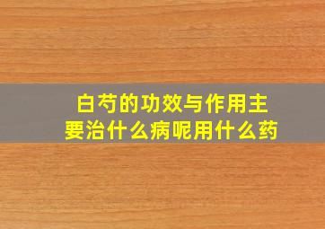 白芍的功效与作用主要治什么病呢用什么药