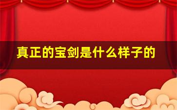 真正的宝剑是什么样子的