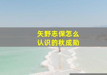 矢野志保怎么认识的秋成勋