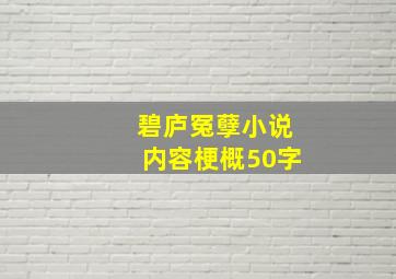 碧庐冤孽小说内容梗概50字