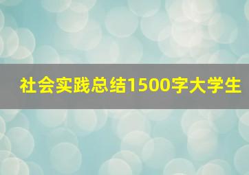 社会实践总结1500字大学生