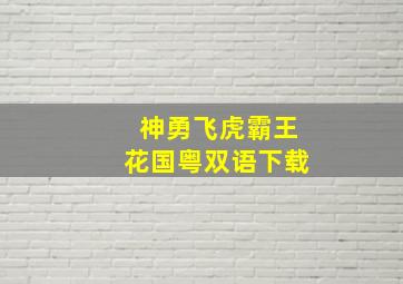 神勇飞虎霸王花国粤双语下载