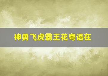 神勇飞虎霸王花粤语在