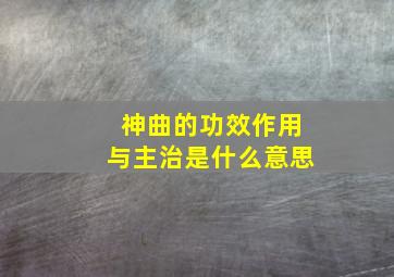 神曲的功效作用与主治是什么意思