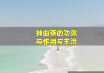 神曲茶的功效与作用与主治