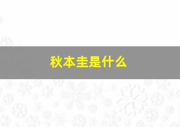 秋本圭是什么