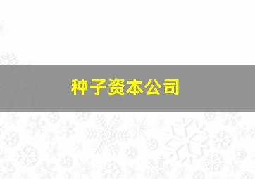 种子资本公司