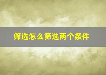 筛选怎么筛选两个条件