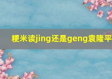 粳米读jing还是geng袁隆平