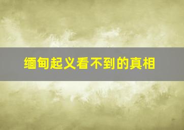 缅甸起义看不到的真相