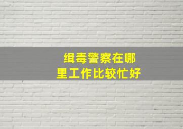 缉毒警察在哪里工作比较忙好